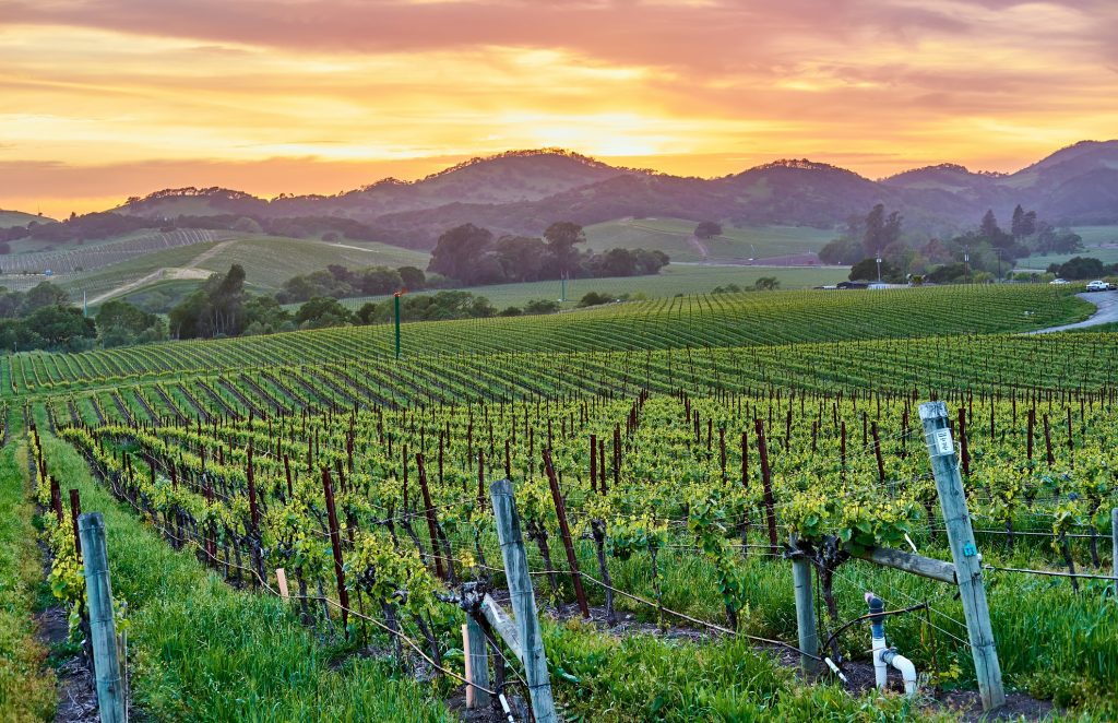 california winery