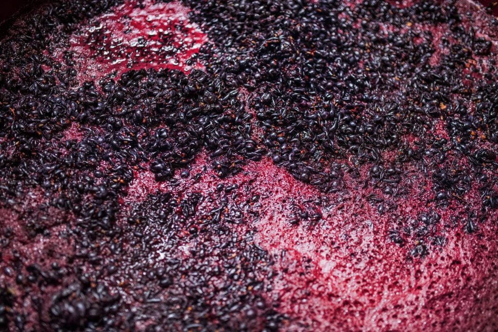 fermenting grapes